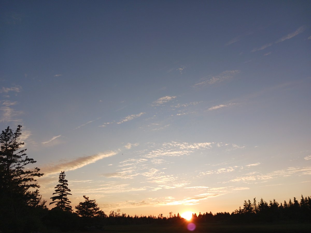 ImagesCoast's tweet image. The remnants of the flumes coming from commercial aircraft flying over Nova Scotia. No commercial airline refuses to release the chemicals over the unsuspecting population.
Pilots are paid an extra $500 a day for flicking the switch to release the payload of what you see in…