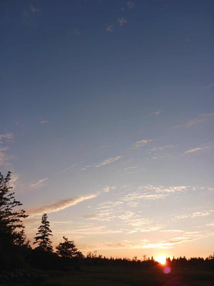 ImagesCoast's tweet image. The remnants of the flumes coming from commercial aircraft flying over Nova Scotia. No commercial airline refuses to release the chemicals over the unsuspecting population.
Pilots are paid an extra $500 a day for flicking the switch to release the payload of what you see in…