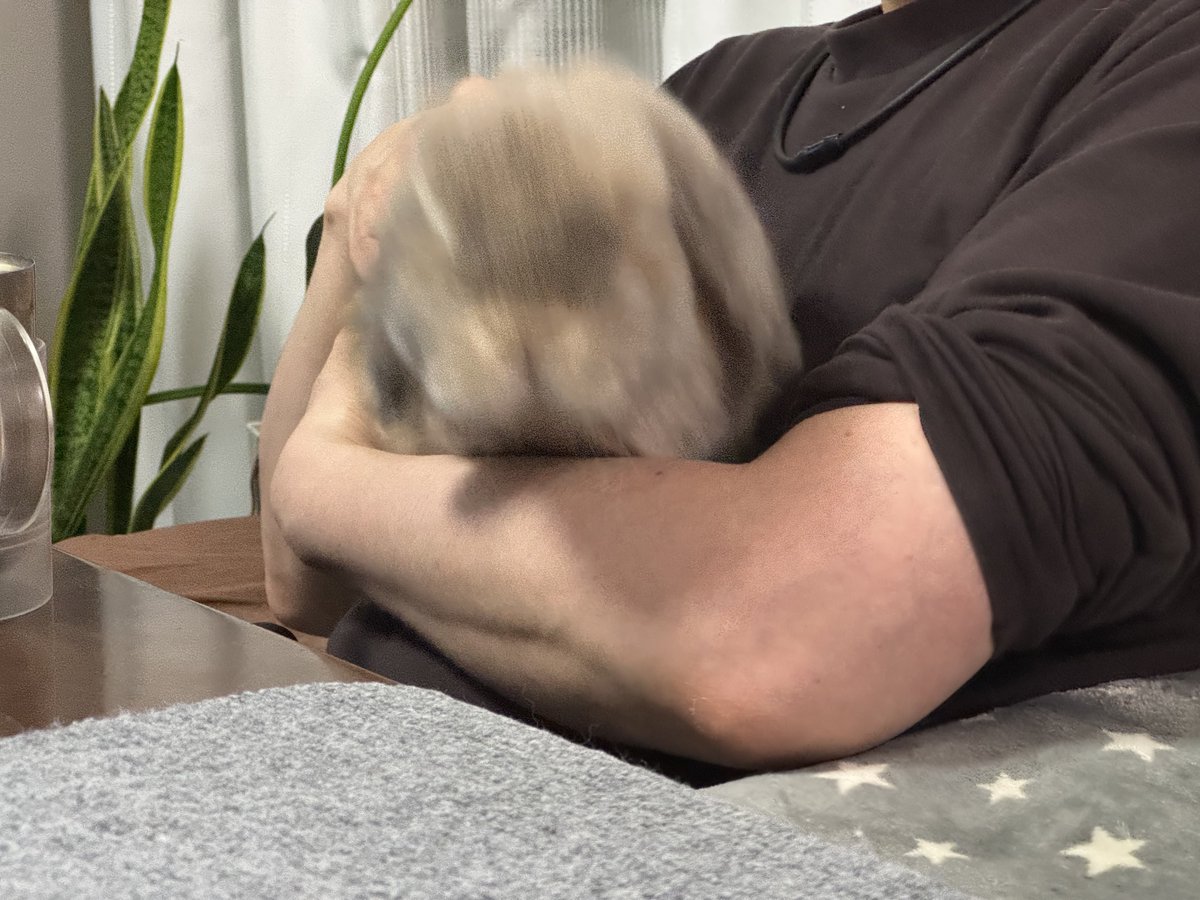 taremimi_ch's tweet image. ←おやつ欲しいとき

おやつないと知った時→

#うさぎ
#現実