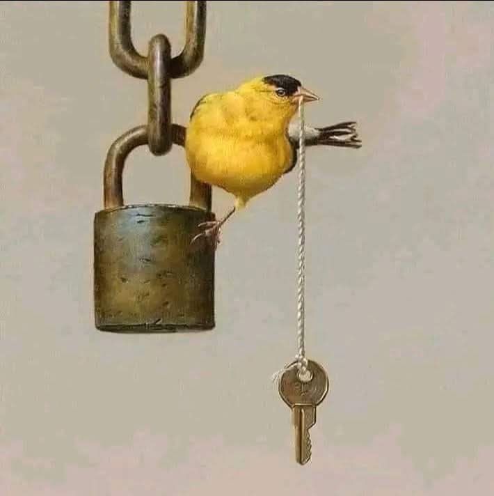 سب سے زیادہ مشکل اُس دروازے پر دستک دینا ہے
جسکی چابیاں کبھی آپکی ملکیت رہی ہوں_____
$adi,