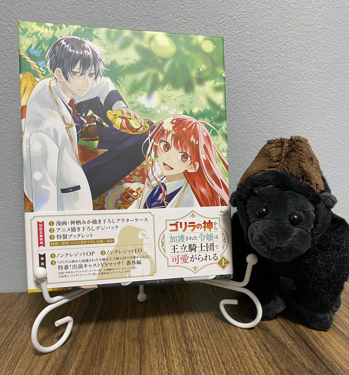 shirohi_tonkatu's tweet photo. 【🎉宣伝🎉】
#ゴリラの加護令嬢 Blu-ray上巻発売中です！

神栖先生のケースイラスト、キャラデザを担当してくださった渋谷秀さんのデジパックイラスト、どちらも最高です✨
同梱のブックレットには各キャラ背景設定のほか、書き下ろしssも収録されております。こちらもどうぞよろしくお願いします☺️ https://t.co/uz8i2RRZPH