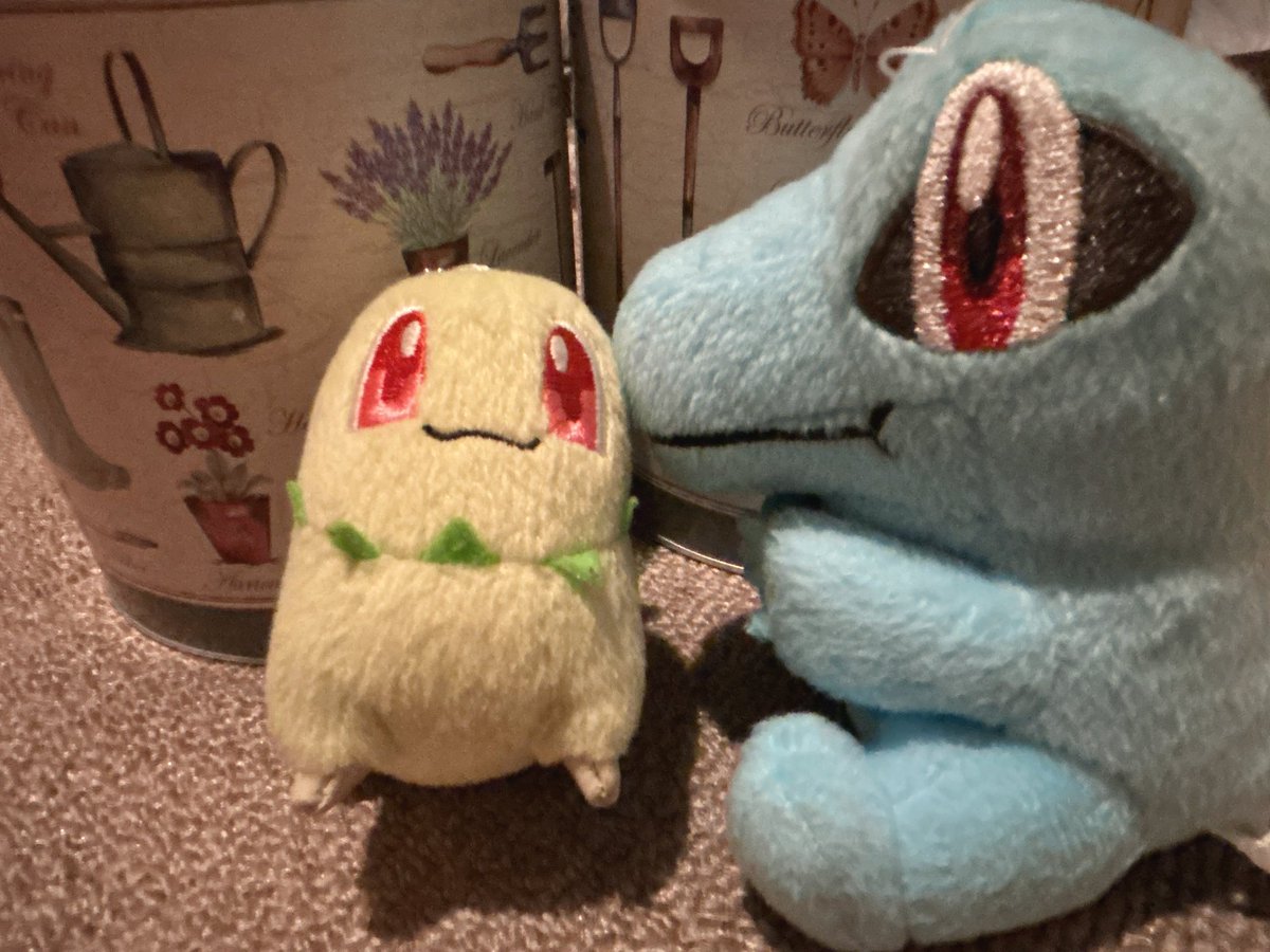 Chicojealousist's tweet image. これはイギリスのクッキーが
中に入ってるチコよ^_^

あぁ！コダックまた出てきちゃったチコね🐤✨