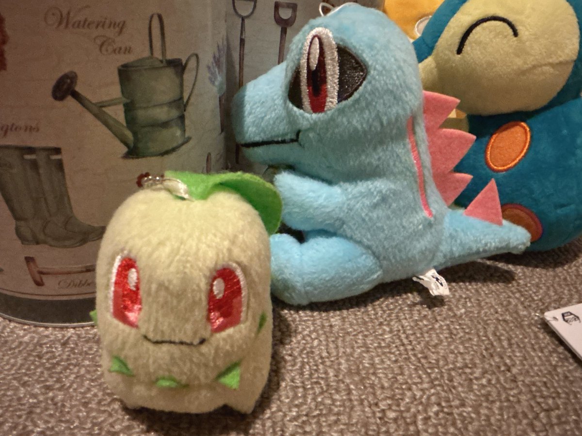 Chicojealousist's tweet image. これはイギリスのクッキーが
中に入ってるチコよ^_^

あぁ！コダックまた出てきちゃったチコね🐤✨