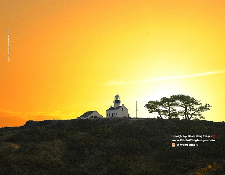 a new day a new blessing/ un nuevo día una nueva bendición/ um novo dia uma nova bênção/ un nouveau jour, une nouvelle bénédiction/ 新しい日、新しい祝福/ ein neuer Tag, ein neuer Segen/ nový den nové požehnání/ μια νέα μέρα μια νέα ευλογία/ yeni bir gün yeni bir mutluluk/ يوم