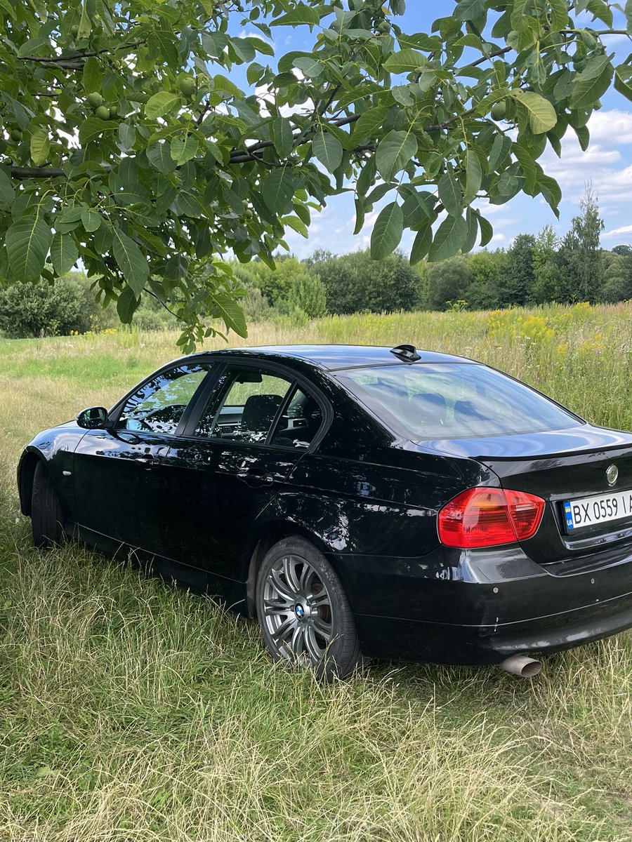 Gm back to absolutely everyone!

Lets go Support each other guys!