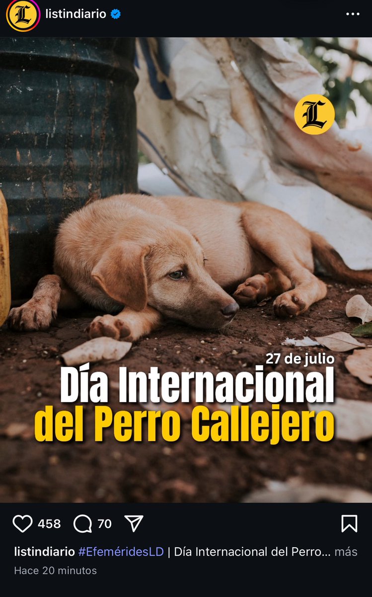 radikeltotel's tweet photo. La ing social es real. 

¿Es importante la fecha del perro callejero? 

NO. 

Pero publicarlo el día del padre, como se ha buscando otras celebraciones similares y degradante coincidan con las fechas del día padre no es más que el finísimo trabajo de ing social, los grandes medios no lo hacen inocentemente, su redacción saben lo que quieren lograr, erosionar y diluir la idea y la figura paterna, en semiótica es más importante el símbolo que la palabra, y es eso lo que estos medios en manos de profesionales disociados hacen. 

Una mente racional diría: "es cierto que esto se celebra hoy, pero publicarlo hoy puede generar confusión on distracción" . 

Algunos dirán "es coincidencia"... hoy nada es coincidencia.