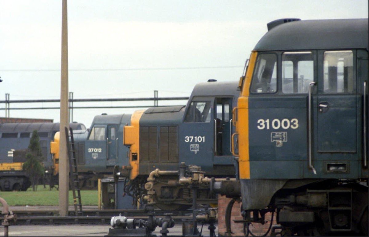 Doncaster, 1980 

Engines on parade at BREL Doncaster 

#Doncaster #Yorkshire 

📷  A Walker