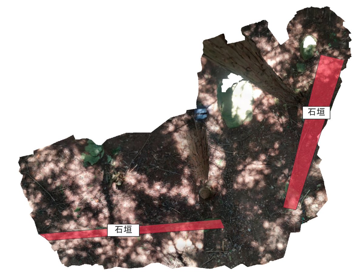 播磨守 流流舞 on X: 