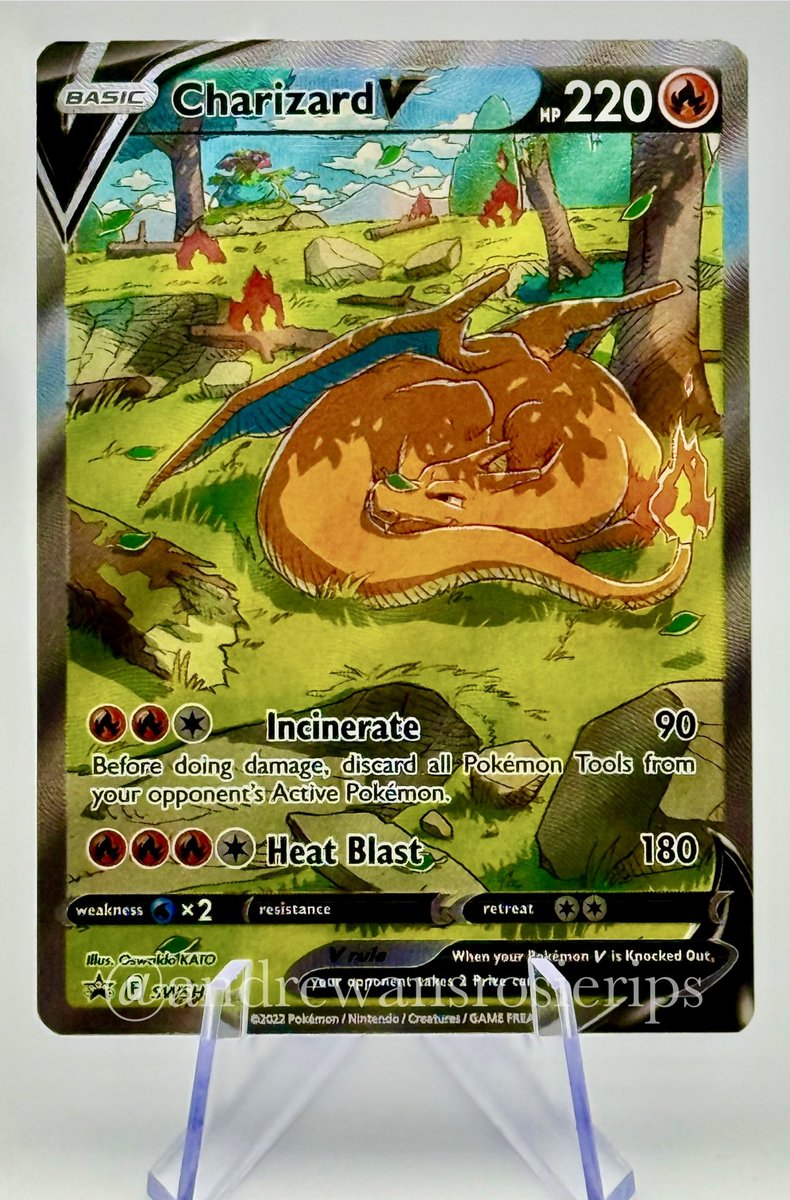 Andrewdeeeeee's tweet image. #RosieRips vibe this morning trying to get her going 😂 #Pokemon #Charizard