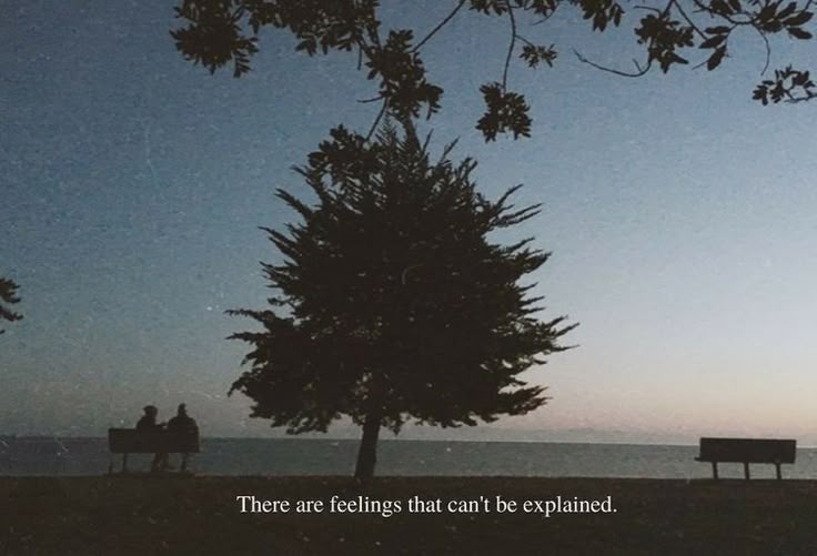 MoodFlix (@moodflixqts) on Twitter photo 