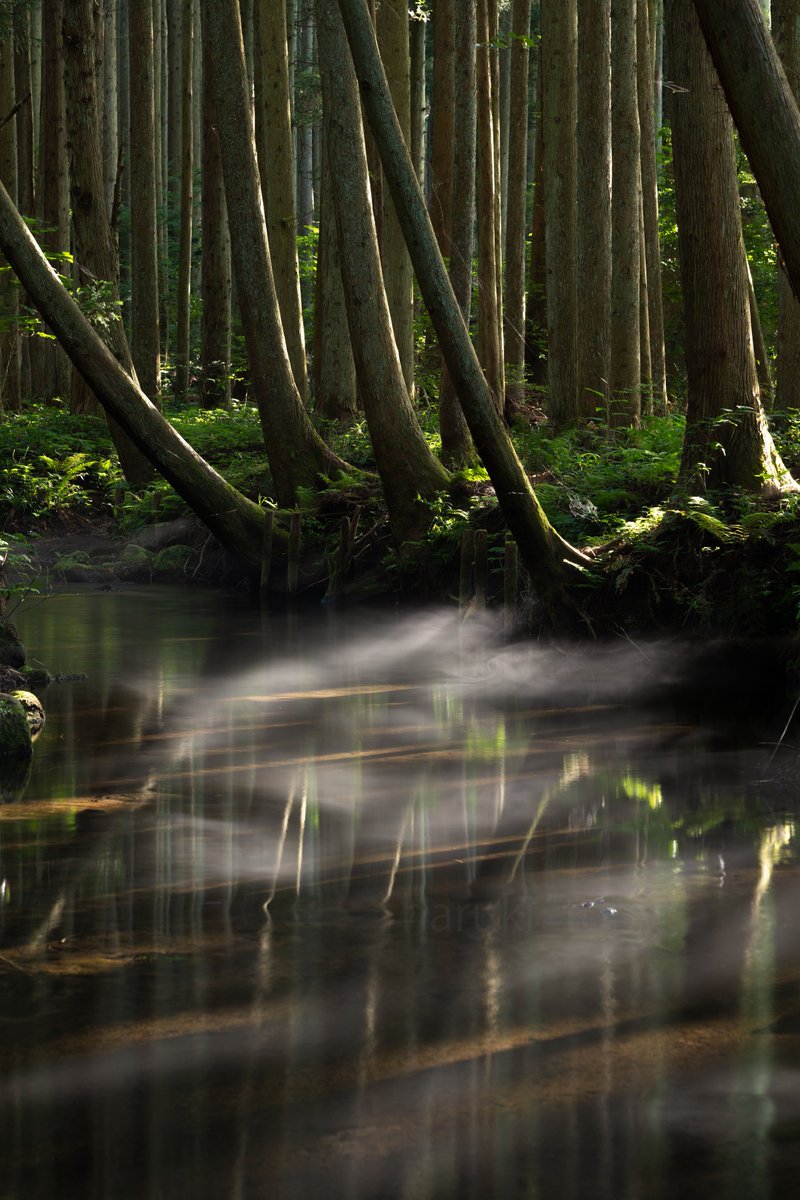 haruki_toriy's tweet image. &quot;朝涼の川辺&quot;

鳥海山の湧き水の冷たさが目に見えて分かります