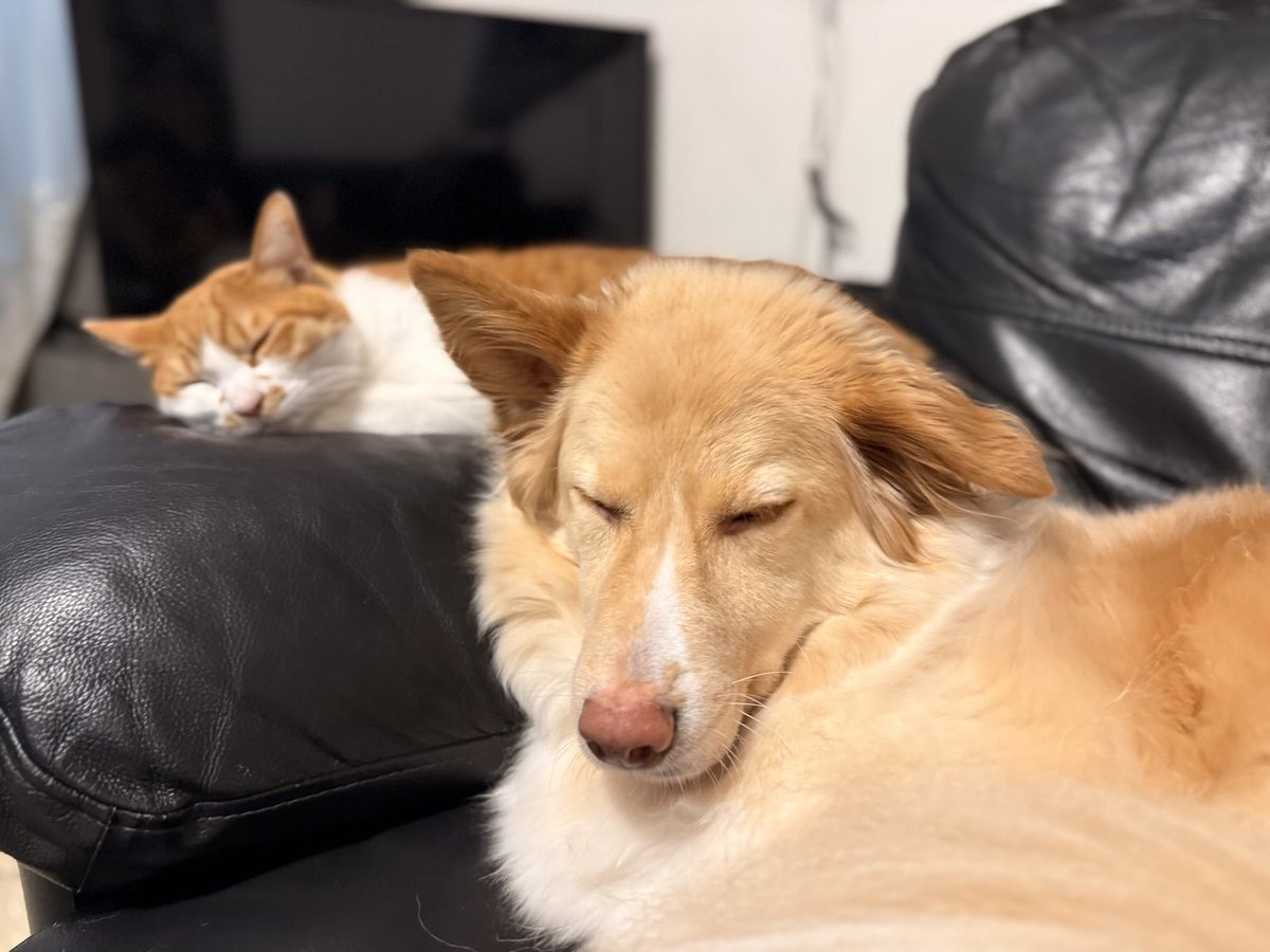 Zzzz