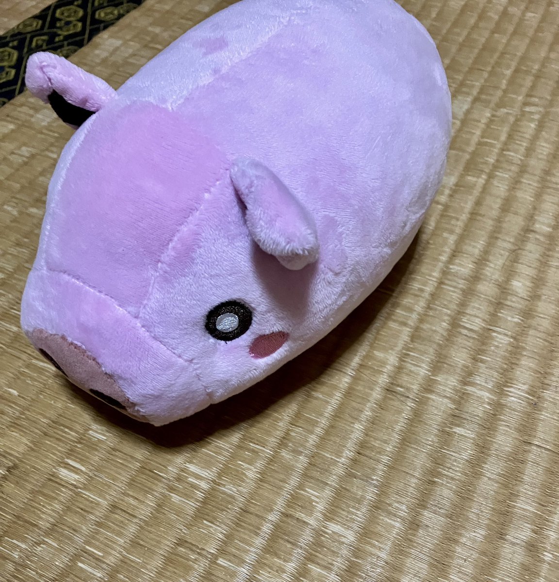 hiromint's tweet image. 別に私はぬいぐるみ含めたグッズが欲しく訳ではなくただただ推し(コンテンツ)に金を突っ込んで公式くんに需要あります!!よろしくお願いします!!!の無言の主張がしたいだけなんだけど
それにしたってこのぬいぐるみ、撫で心地が良すぎる
なお先ほどのは再販で購入した2匹目――