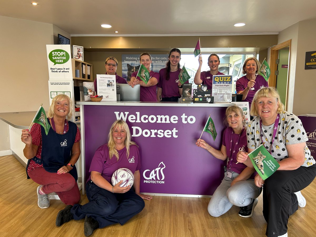 CatsProtection's tweet image. Turns out women’s football and adopting cats really is the #PerfectMatch.
Good luck tonight Lionesses! 🐱 ⚽