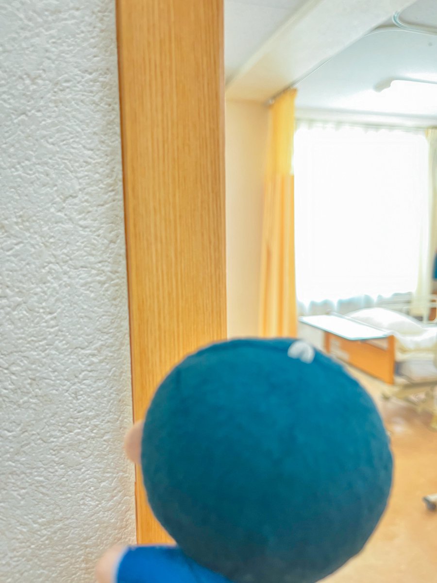 kkc0s73's tweet image. 病室とtkakぬい

#kakiのぬい撮り