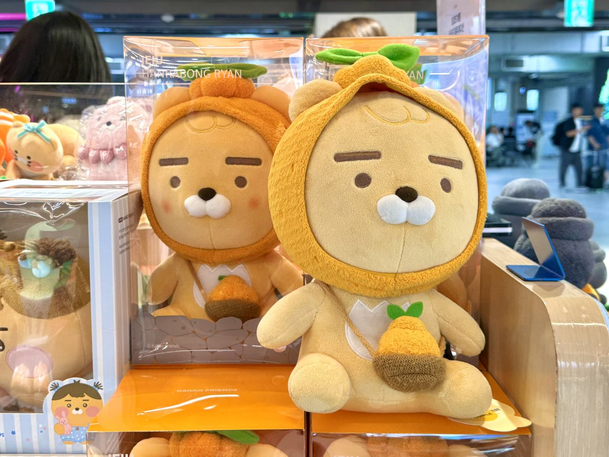 チェジュ限定のカカオフレンズグッズ知ってる？！🐬 「おつかれさま