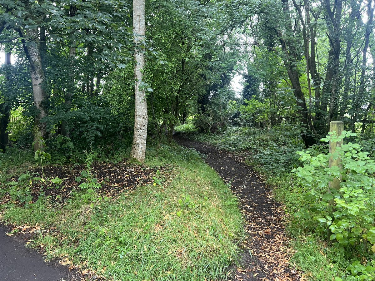 *Group pick today*

Castle Avenue &amp; Bothwell castle area

I am glad to report we could only find 8 bags in an hour ,a house sign &amp; a very smelly bin. 
We did clip some overhanging branches &amp; brambles on route.  

Thanks to all the volunteers &amp; well wishers. 
Thanks also to SLC