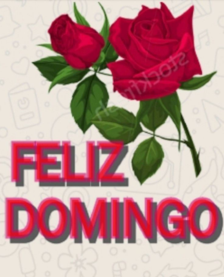 MariaGagDa's tweet image. Muy buenos dias