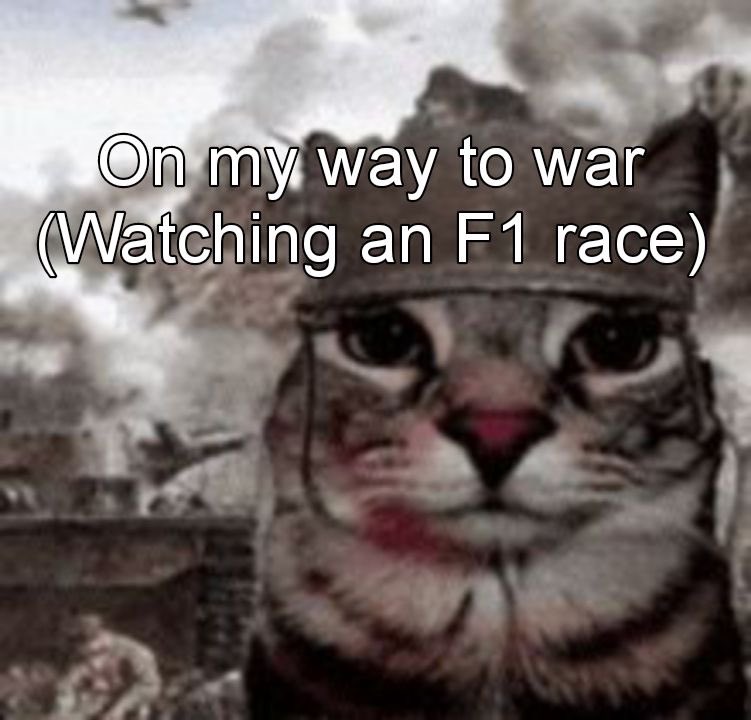 ferraudri's tweet image. happy race day