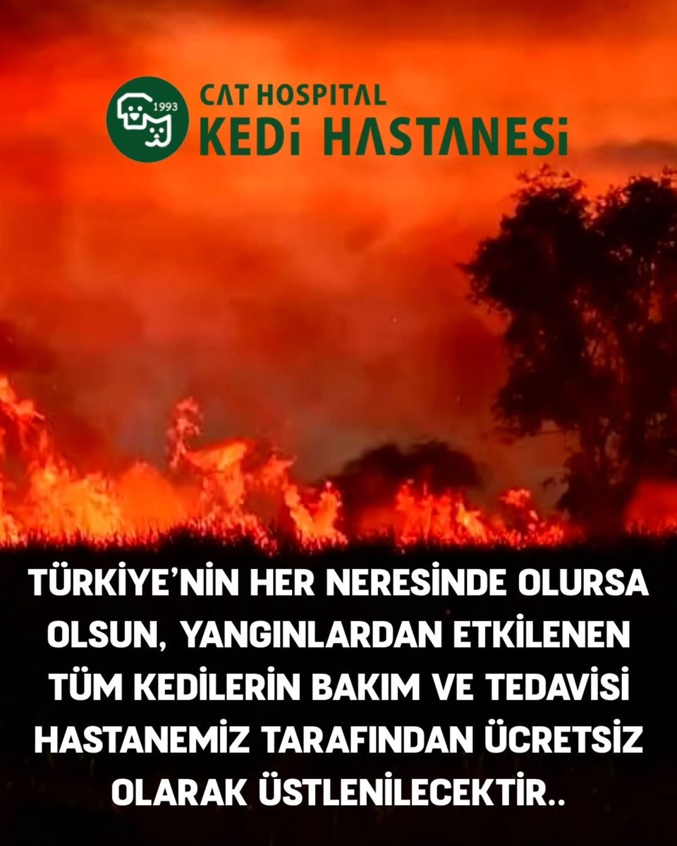 @tarkanozcetin hocamızın duyurusu neden sadece KEDİLER demeyin ekipmanlar ve sistem kediler için kurulmuş hayvan hastanesi olduğu içindir.....

KAMUOYUNA DUYURULUR

Türkiye'nin dört bir yanında yaşanan orman yangınları, sadece doğamızı değil, sessiz dostlarımızı da tehdit ediyor.
