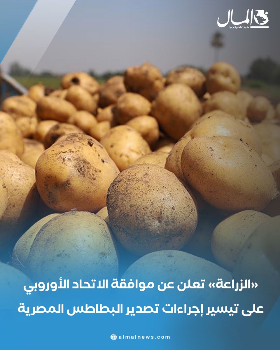 AlMalWeb's tweet image. «الزراعة» تعلن عن موافقة الاتحاد الأوروبي على تيسير إجراءات تصدير البطاطس المصرية
للتفاصيل : almalnews.com/2067642/