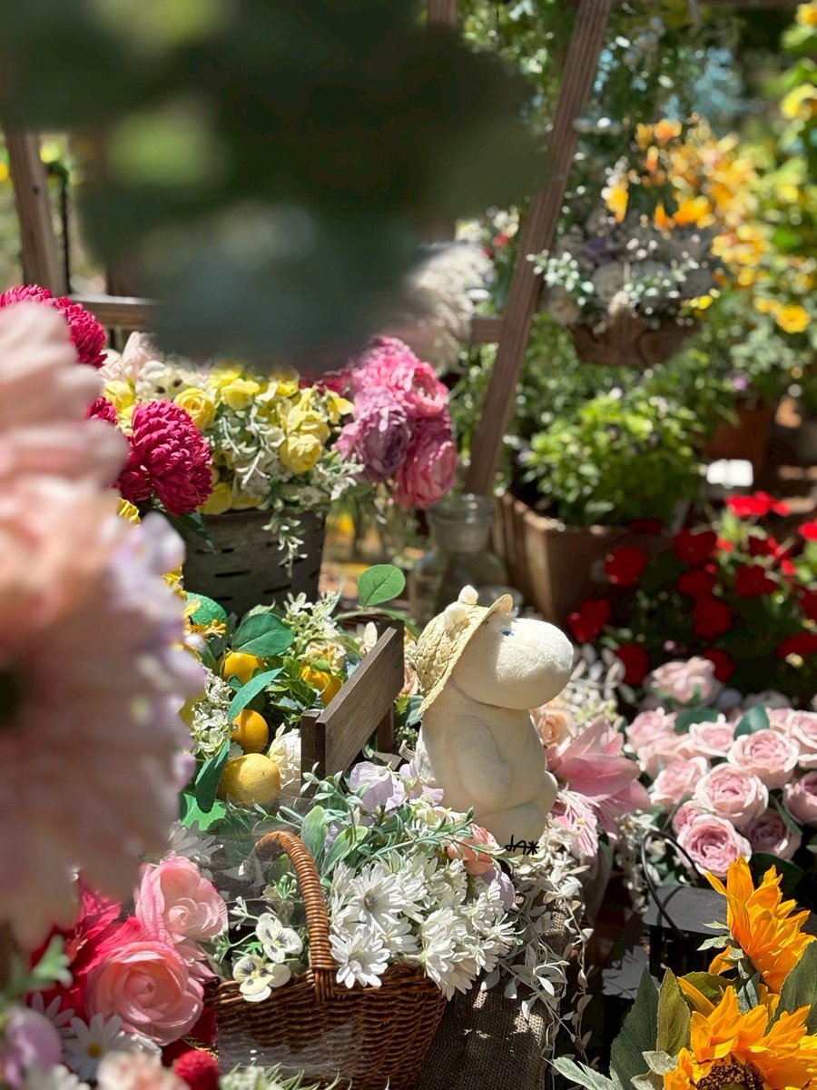 Lerror_L's tweet image. 🌻🌷🌼🌹🏵️