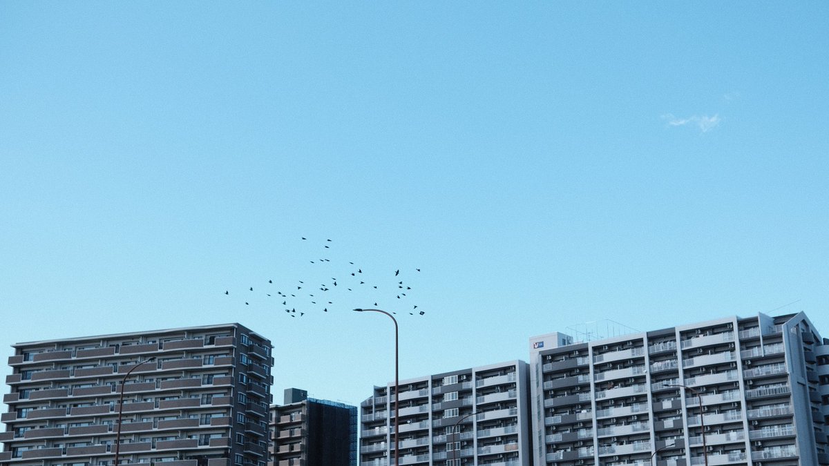 chan__o_o_'s tweet image. かわさんぽ
