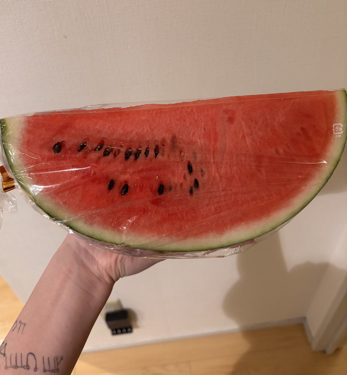wachnoku's tweet image. 夏、売ってたから買った