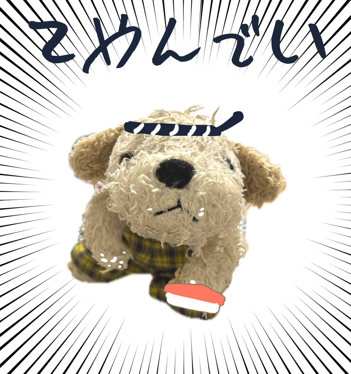 🐟しらす(旧るのあ) (@shirasu_da4) / X