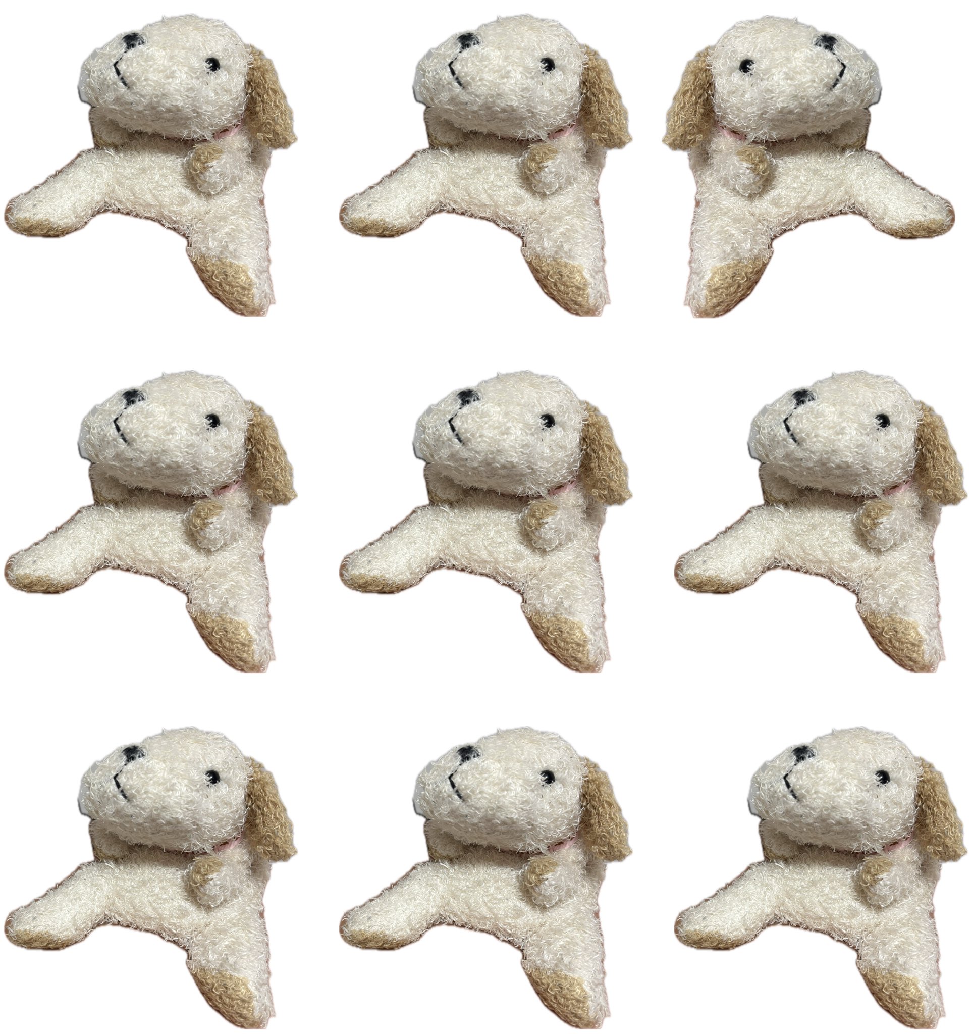 🐟しらす(旧るのあ) (@shirasu_da4) / X