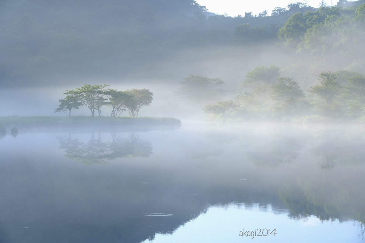 akagi2014's tweet image. 2025.7.25
赤城山覚満淵
その1
朝もやに包まれた覚満淵は時の流れと共に表情を変えてとても幻想的でした。
FUJIFILM X-S20
タムロン 18-300mm
#赤城山 #覚満淵 #ぐんまの風景 #fujifilm #タムロン