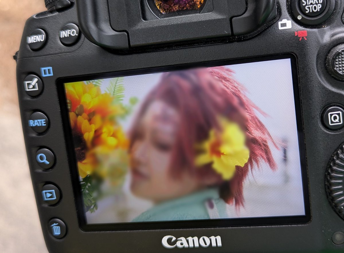 cos_akane_'s tweet image. お写真が良すぎたんだ……

載せるのが楽しみ…😭😭 
ありがとうございます…