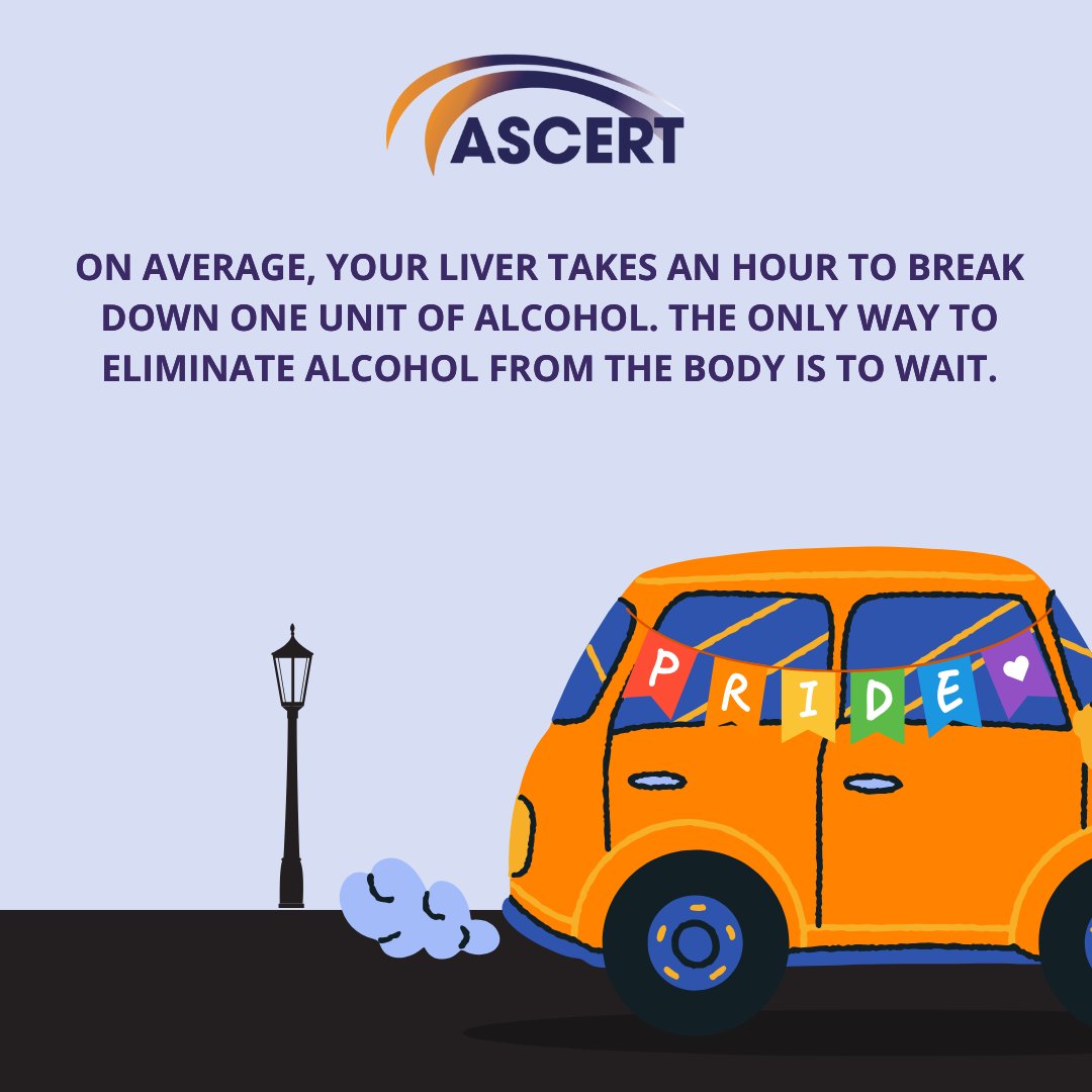 ASCERTNI's tweet image. Did you know you can still be over the drink driving limit the morning after? 🚗 Only time can lower your blood alcohol level. Things that can't:
☕ Drinking coffee
🚿 Cold showers
🤮 Vomiting
🍔 A takeaway
#ASCERT #ReducingHarm #SupportingPositiveChange #BelfastPride