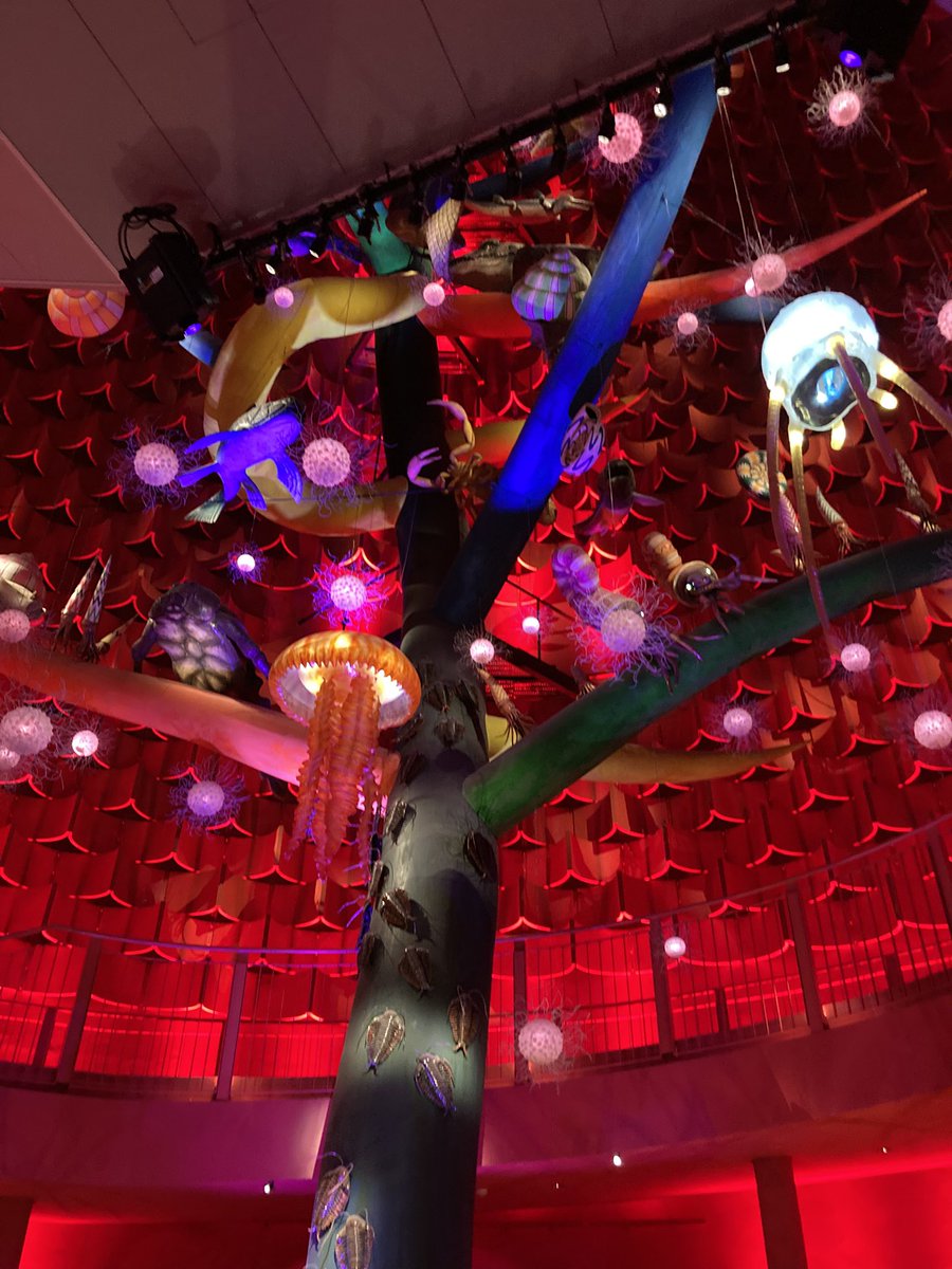 coffeexym's tweet image. 今の万博もそりゃすごい。
だけど55年前行った人から見たら今ってどう映ってるんだろう?
本音とか聞いてみたいです🥹