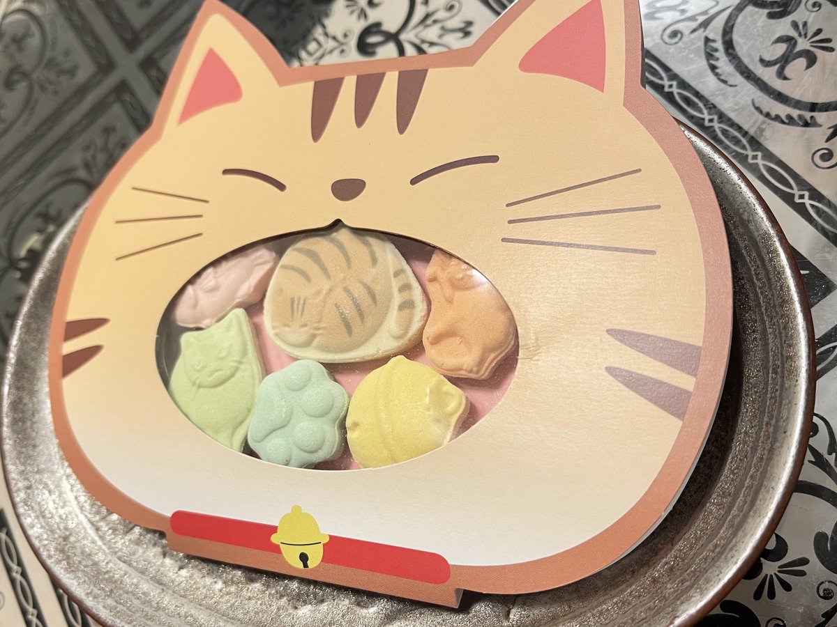 end_i63's tweet image. 犬派の上司が猫キチのわしのために買ってきてくれて嬉しいよ🥺
そんで普通に可愛いんだなぁ……