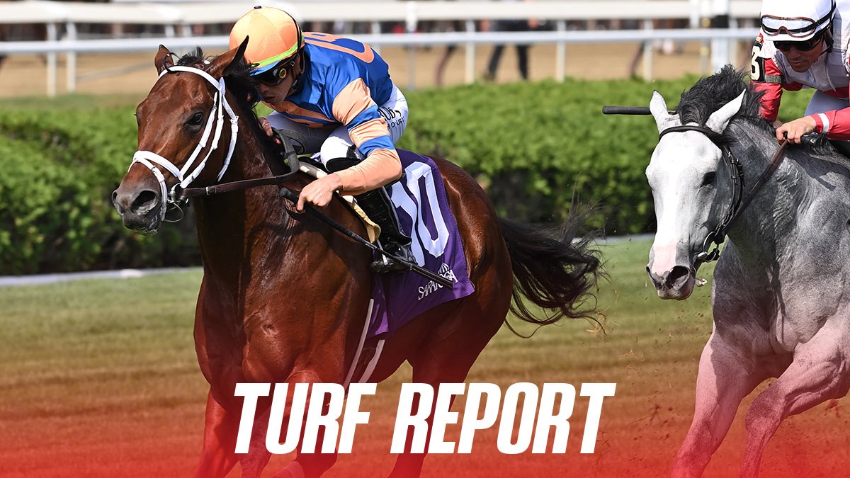 NYRA (🗽) tweet media