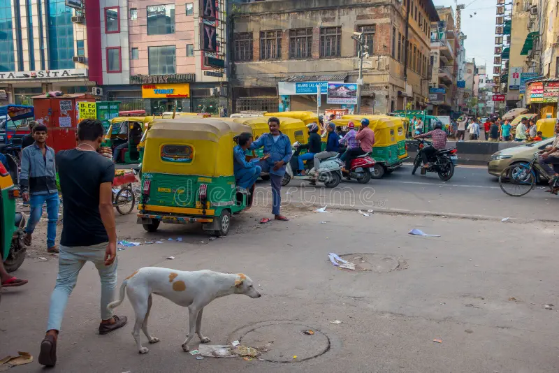 Meanwhile the outdoors in Vishwaguru