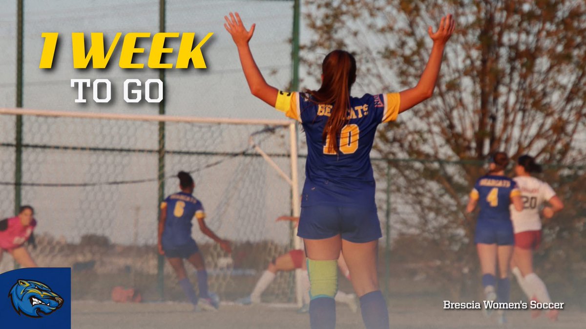 BresciaWSoc's tweet image. 1 week until Women&apos;s Soccer is back! 🔥 Let’s gooo! 💪⚽ #OneWeekOut #BearcatSoccer #GameTime