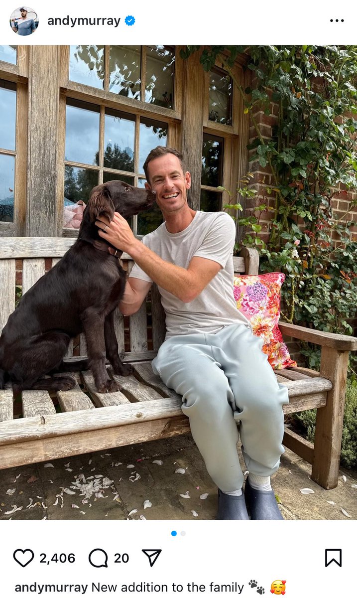 MurrayMusing's tweet image. The Murray family have a new doggo! 🥹