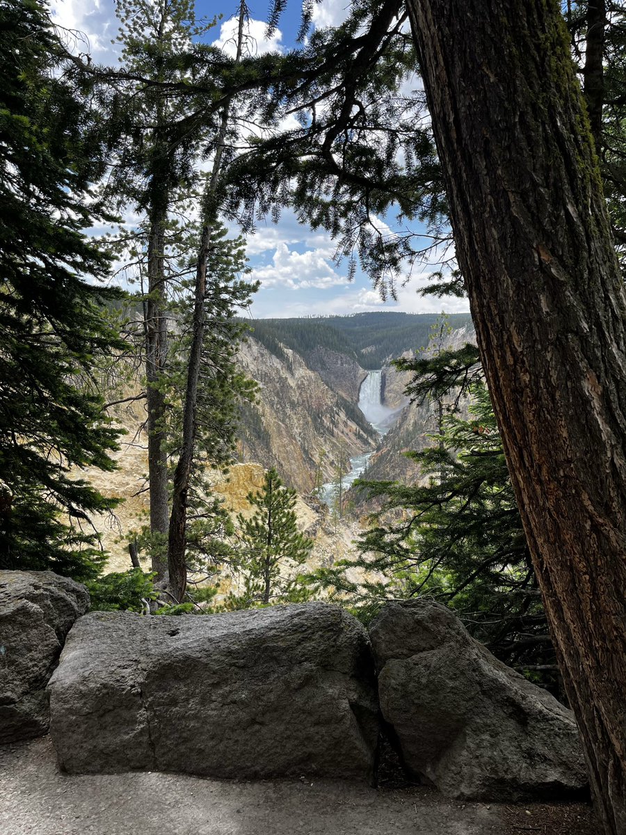 R2DPodcast's tweet image. Let’s see your photos that look like a painting…

…it’s nearly impossible to snap pic of the Lower Falls in @YellowstoneNPS and it *not* look like a painting!