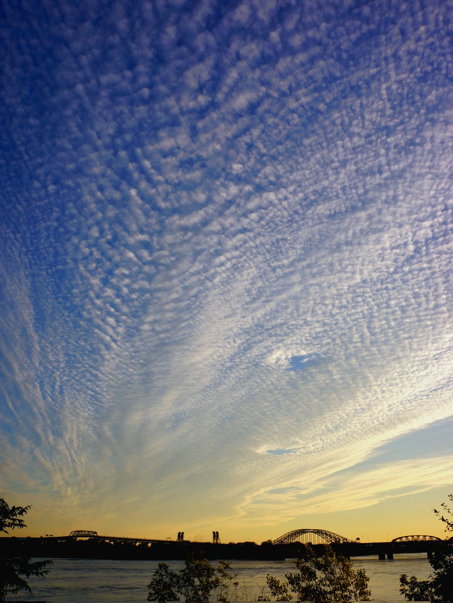 luis_from_mtl's tweet image. Dimanche ⛅️
Bonjour !