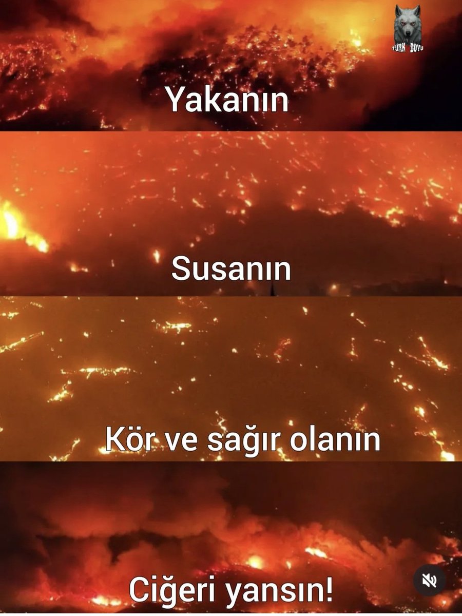 #bursayanıyor
#yangınvar 
#yanıyoruz 
#yangınfaciası