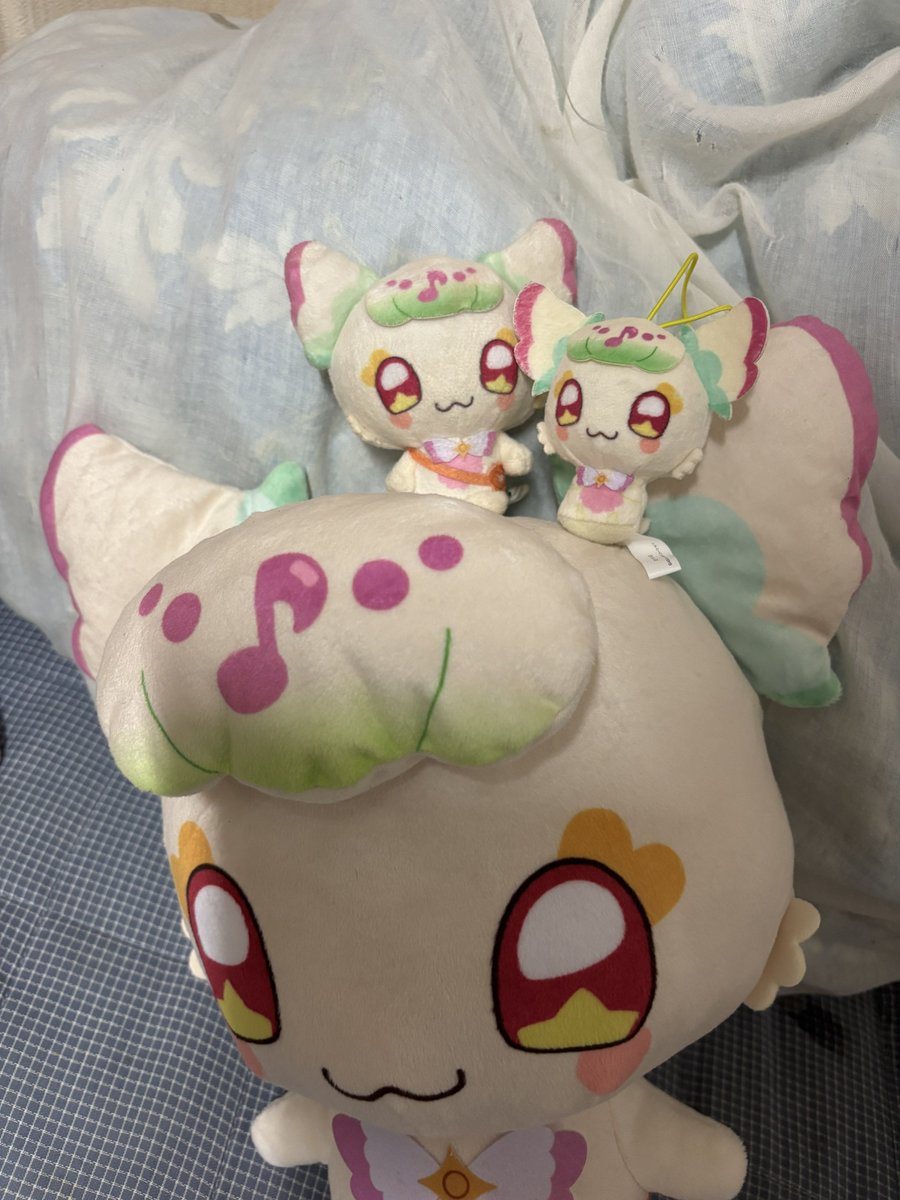 ao_cos3's tweet image. プリプリプリ〜
