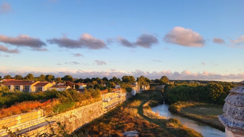raphael_steiger's tweet image. Un peu de repos au soleil
