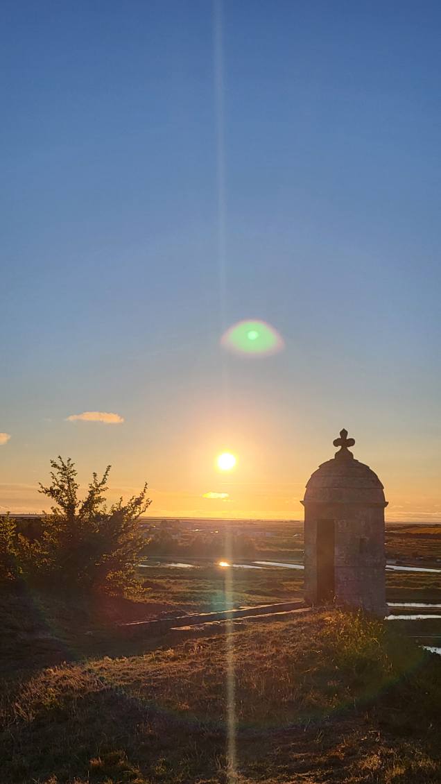 raphael_steiger's tweet image. Un peu de repos au soleil