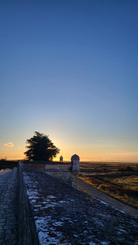 raphael_steiger's tweet image. Un peu de repos au soleil