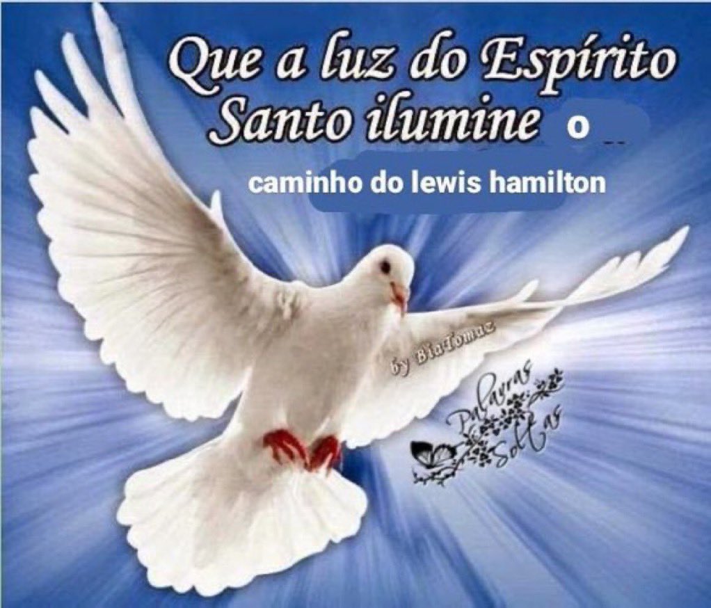 byalivh's tweet image. acordei e tá chovendo em spa, bom dia 🙏