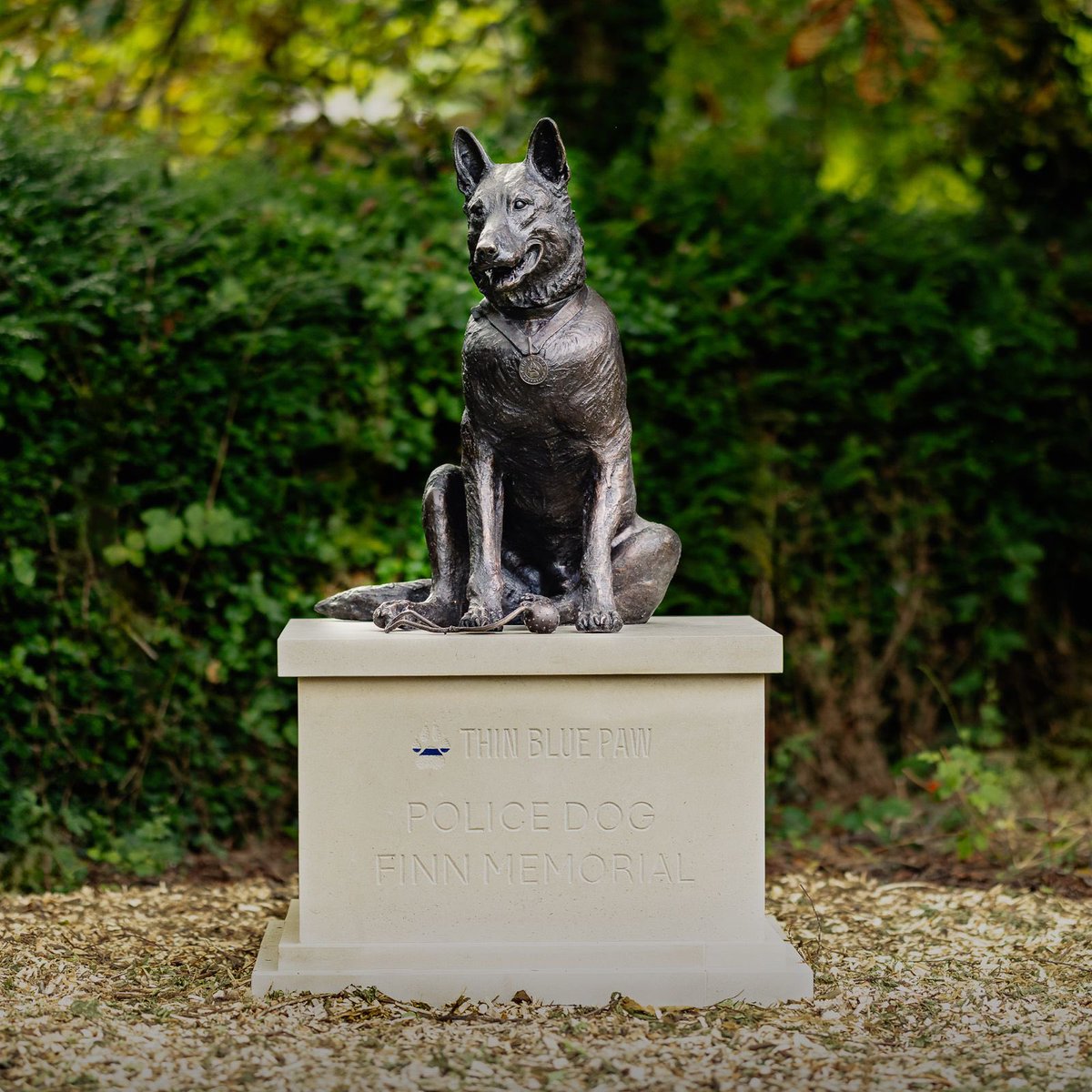 ThinBluePaw's tweet image. We are incredibly honoured and proud to unveil the Police Dog Finn Memorial 🐾

This lasting tribute has been made possible thanks to the generous donations from members of the public across the United Kingdom.

Police Dog Finn’s courage and devotion touched the hearts of many.…