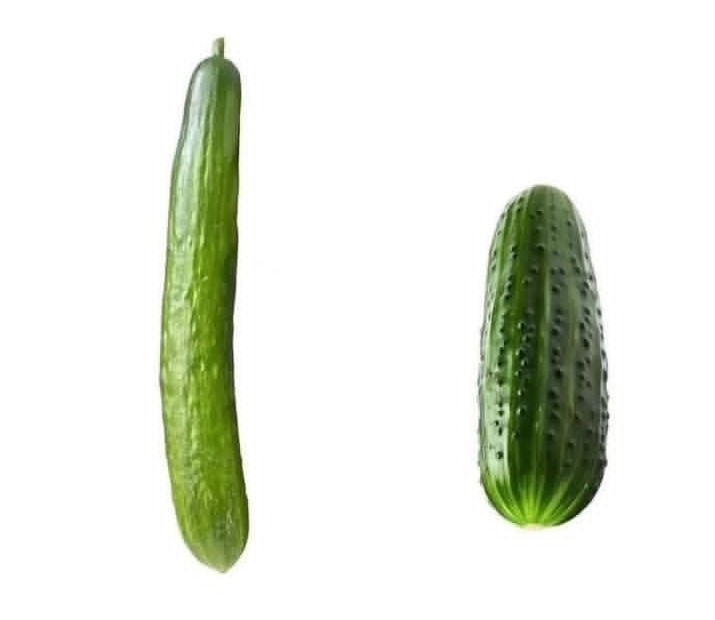 gahima_tweeps's tweet image. Let&apos;s settle this left or right !?🤗
