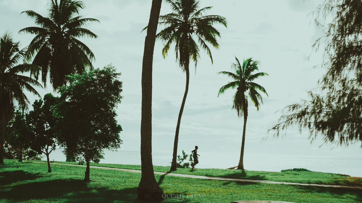 ocean__crew's tweet image. 散歩道。